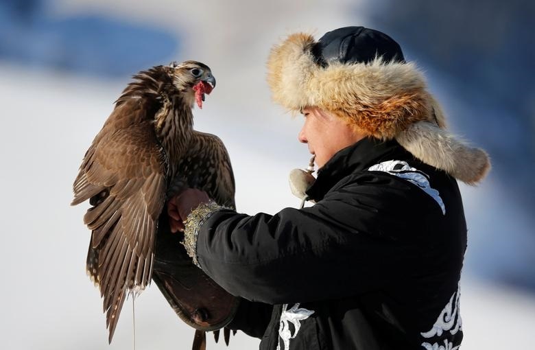 Di san cung dai bang vang tren lung ngua o Kazakhstan hinh anh