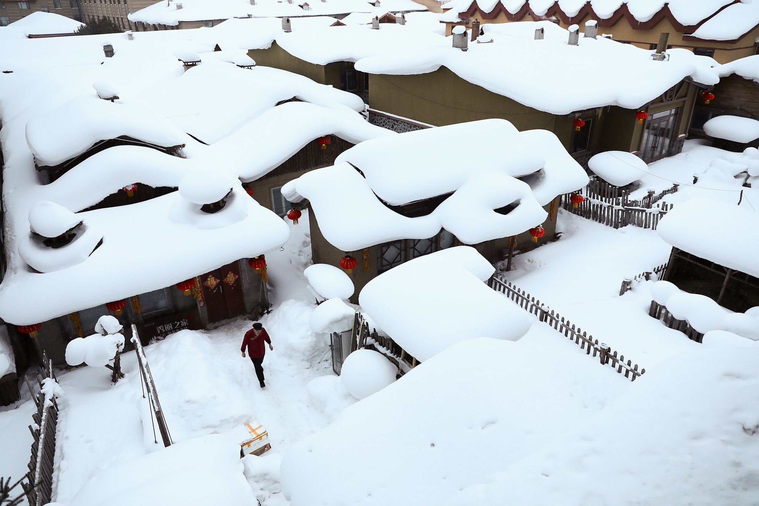 chay rung Australia anh 12