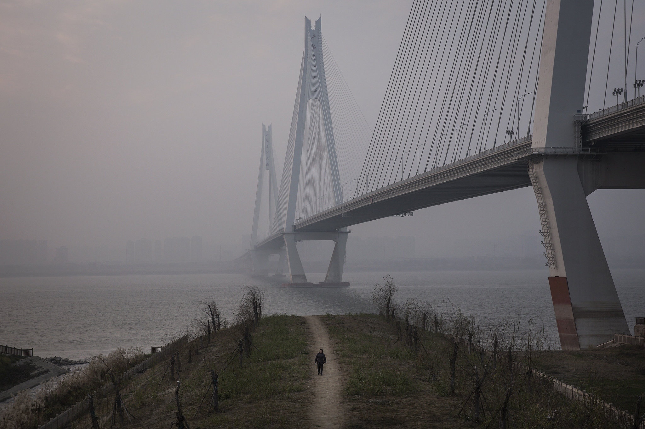 virus corona Vu Han anh 1