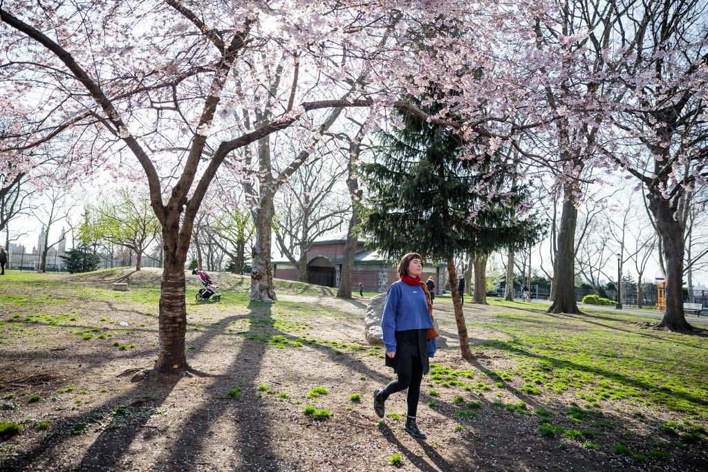 'Nhung nguoi tre tuoi dam me tu do' cua New York da biet so virus hinh anh