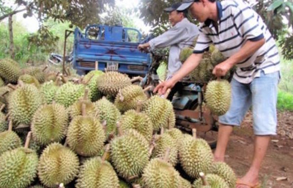 Giang ho ep nguoi dan ban sau rieng gia thap hinh anh