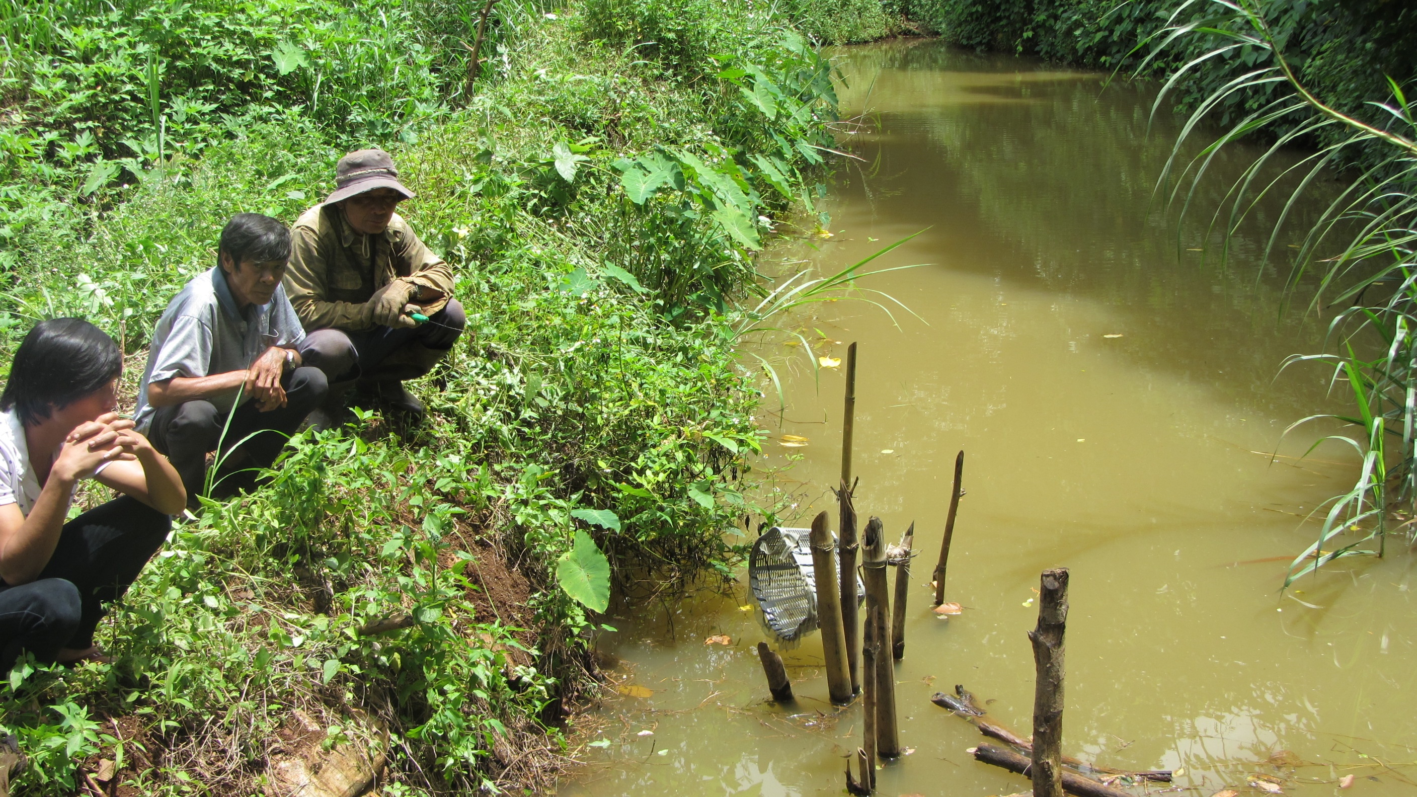 Di bat ca, mot hoc sinh tieu hoc duoi nuoc hinh anh