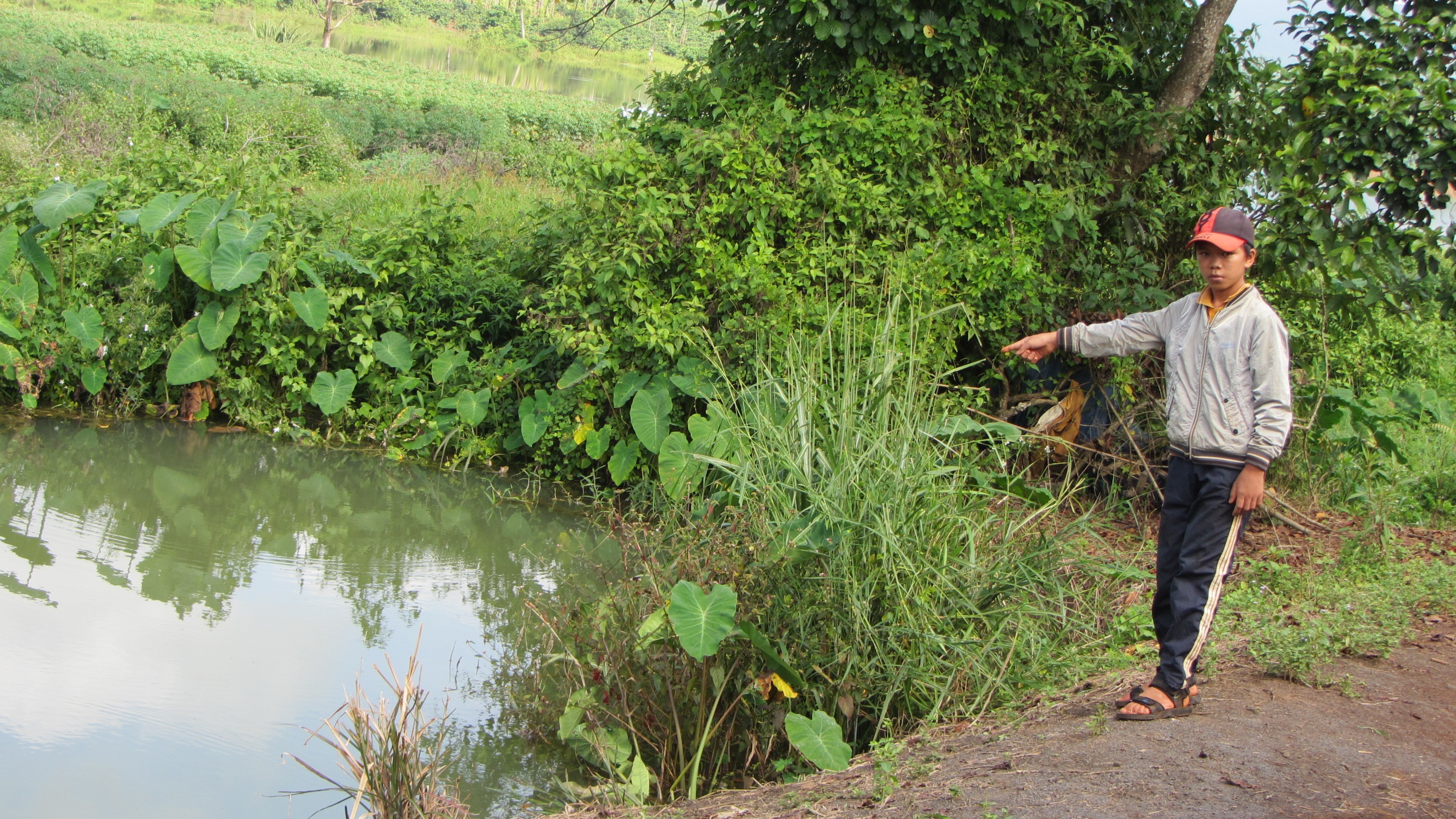 Di tam ho, mot hoc sinh bi duoi nuoc hinh anh