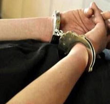 Bat tam giam mot can bo kiem lam Vuon Quoc gia Yok Don hinh anh