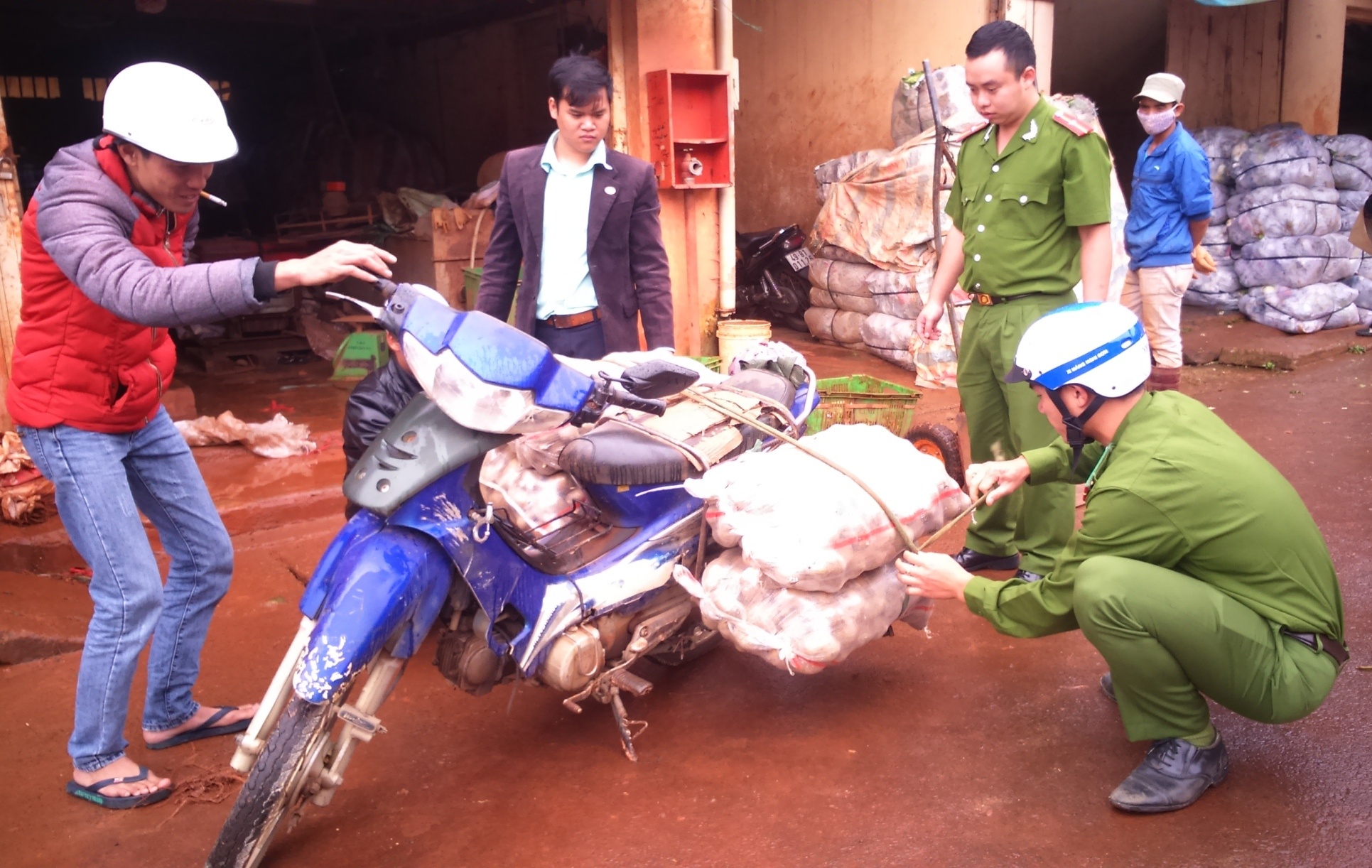 Xu phat ho dua khoai tay Trung Quoc vao cho nong san hinh anh