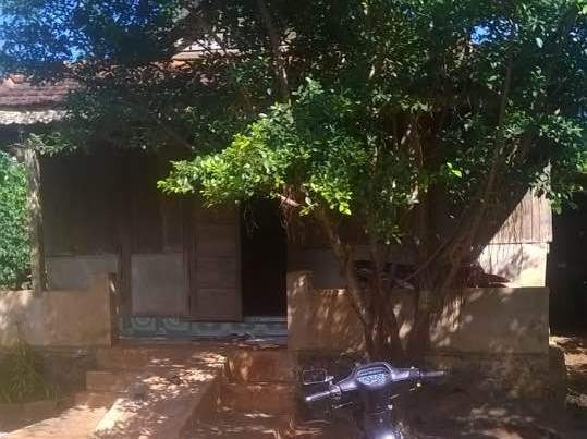 Den nha sac nho dien thoai roi cuong buc ba bau hinh anh