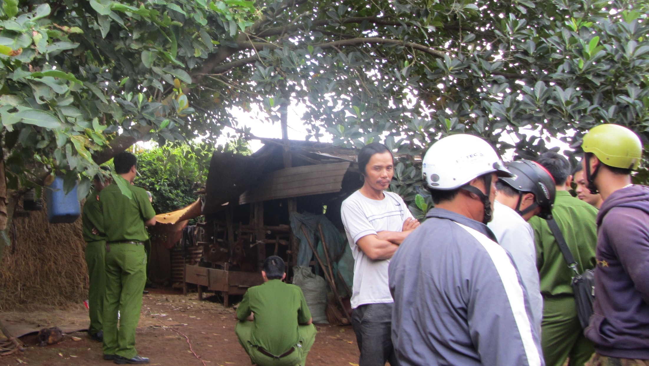 Giua dem di bat trom vit, thanh nien bi dien giat tu vong hinh anh