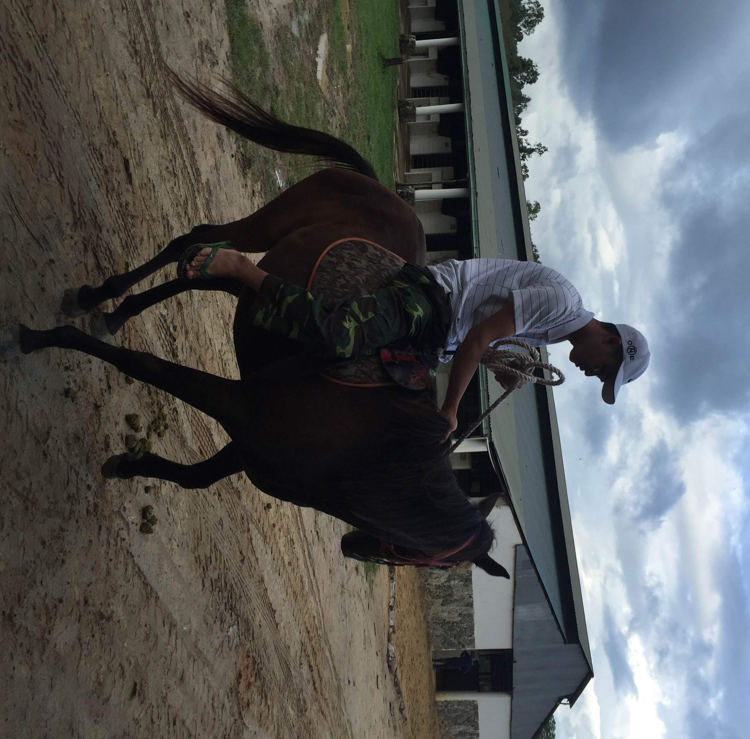 Kiem lam se tuan tra, bao ve rung bang ngua hinh anh