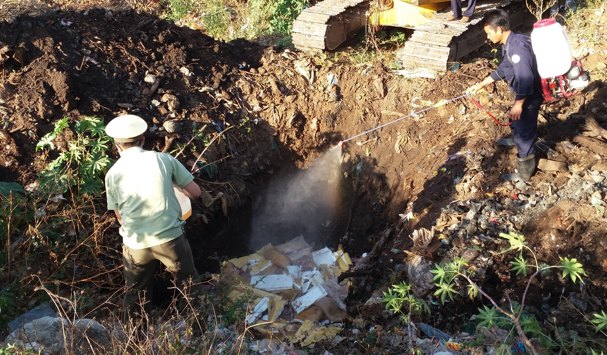 Tieu huy 2 tan thit dong vat hoi thoi hinh anh