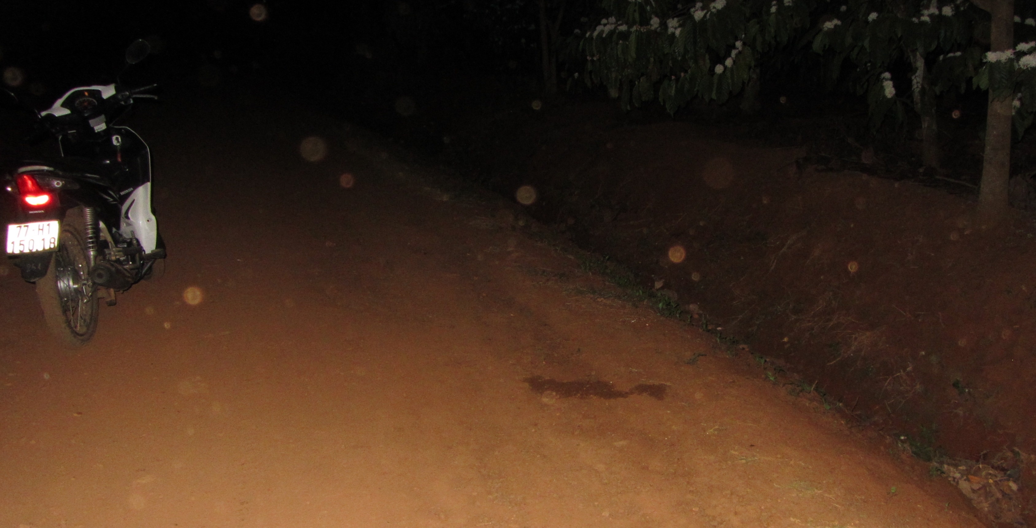 Nu sinh chet bat thuong tren duong hinh anh