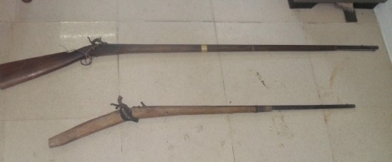 Chu ban nham chau vi tuong la ga rung hinh anh