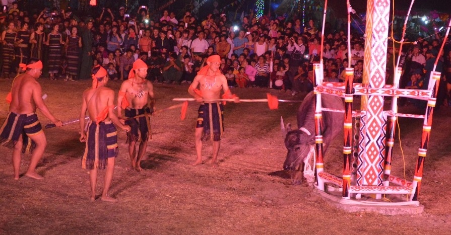 Bo nghi thuc dam trau trong le hoi van hoa o Dak Lak hinh anh