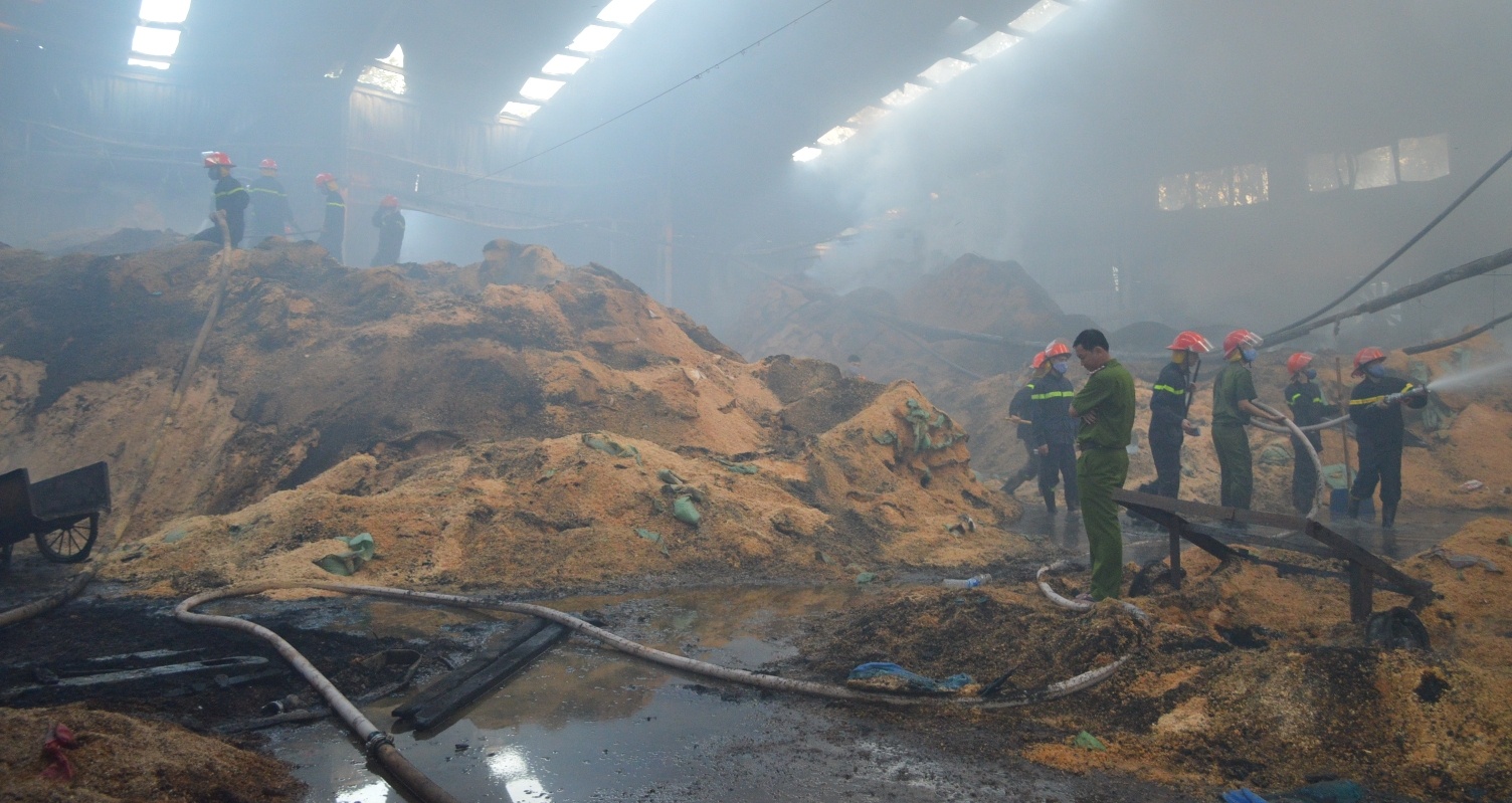 chay cong ty go anh 1