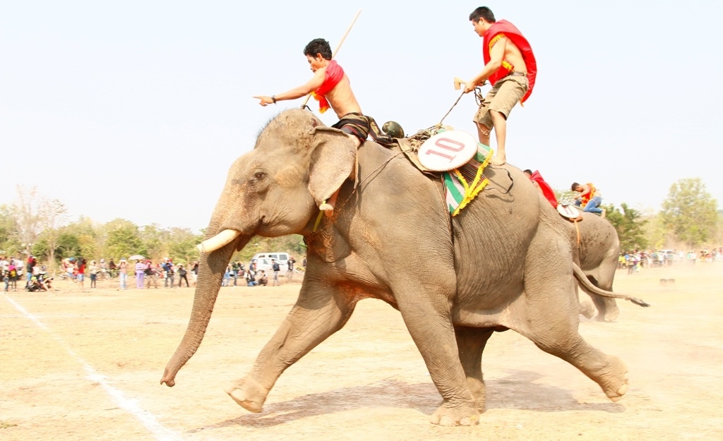 Voi Buon Don 33 tuoi ve nhat sau 10 nam thi chay hinh anh