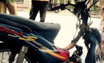 Bi CSGT truy duoi, nguoi vi pham dot xe bo chay hinh anh