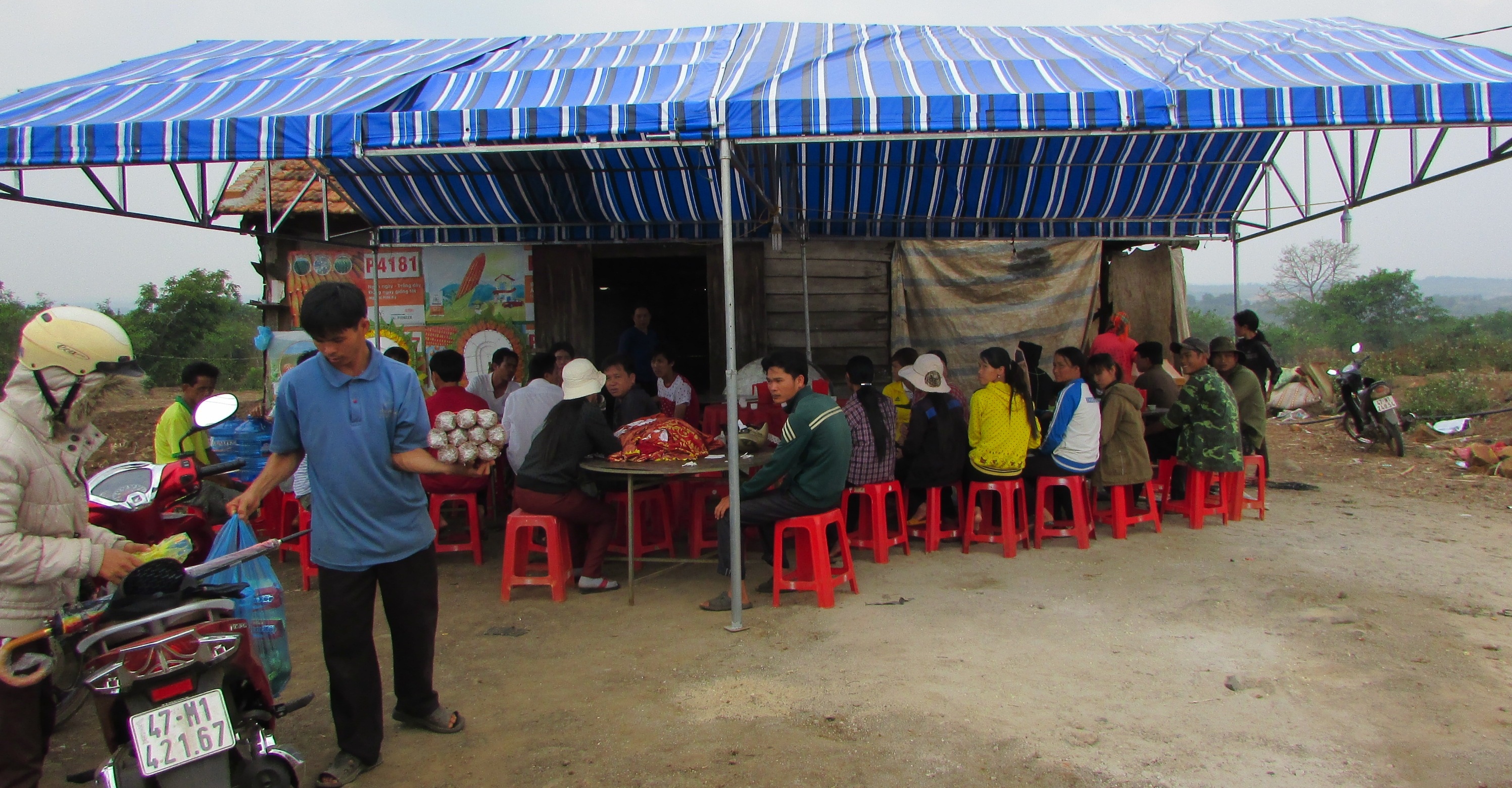 nu sinh bi sat hai anh 2