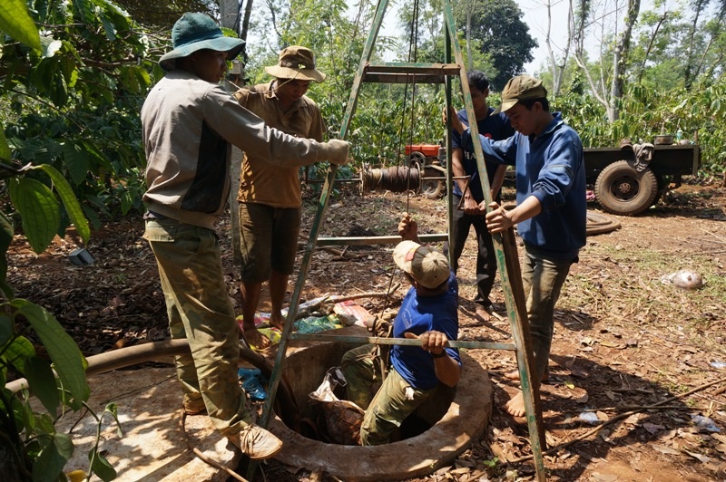 Tay Nguyen kho heo truoc mua mua hinh anh