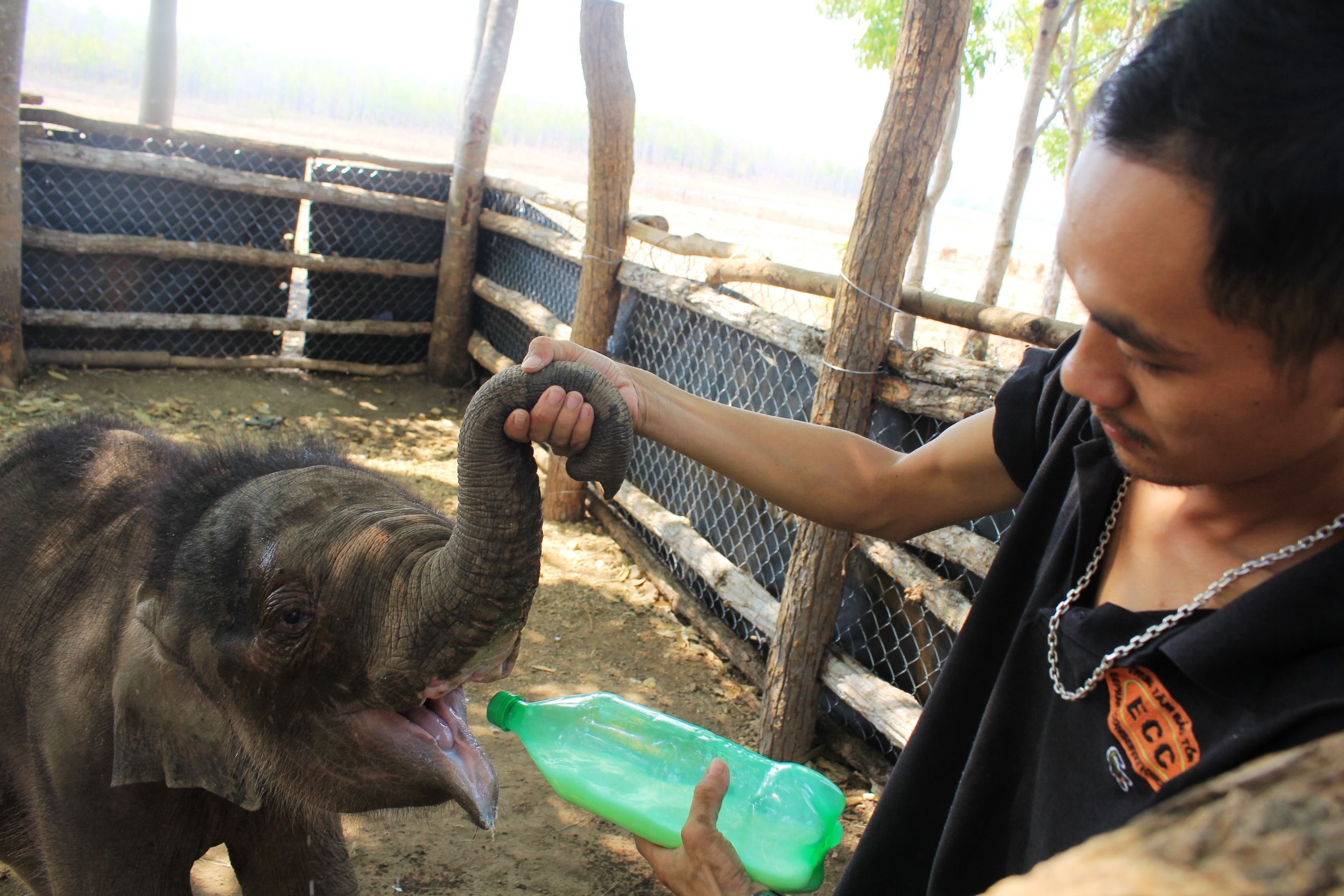 Chu voi 2 thang tuoi khong the nhap dan anh 1