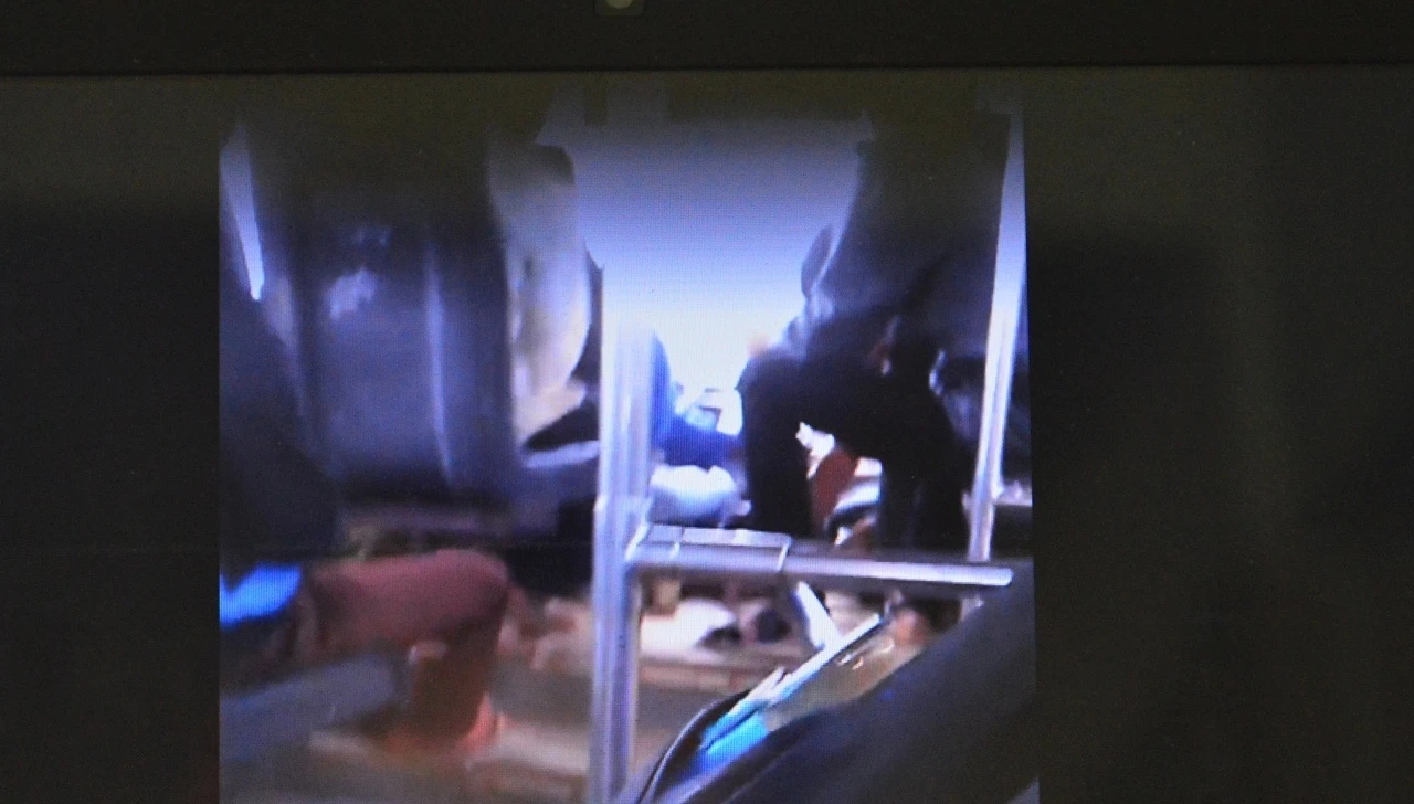 Tai xe vua lai xe vua danh bai anh 1