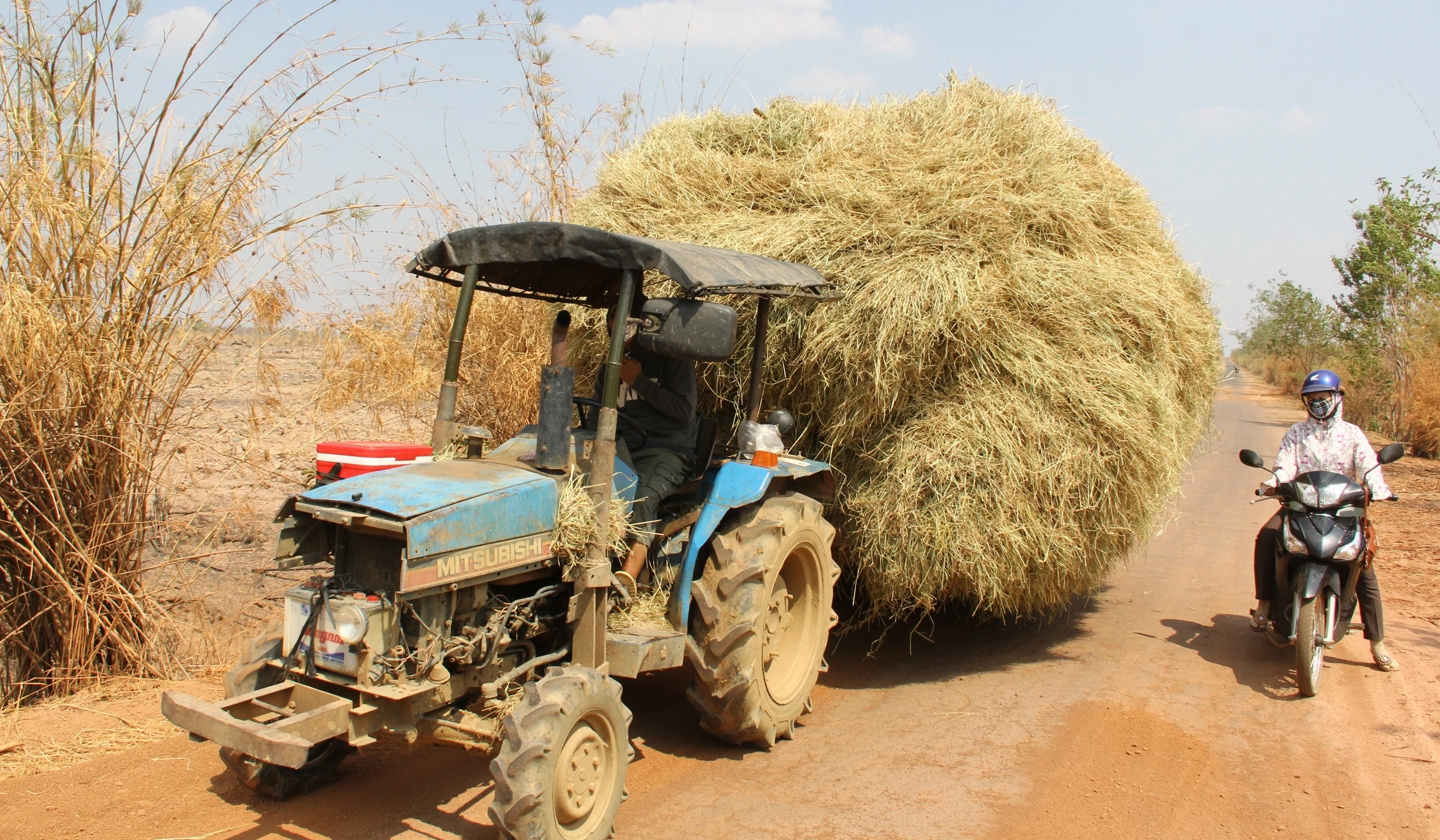 bo chet vi han han anh 2