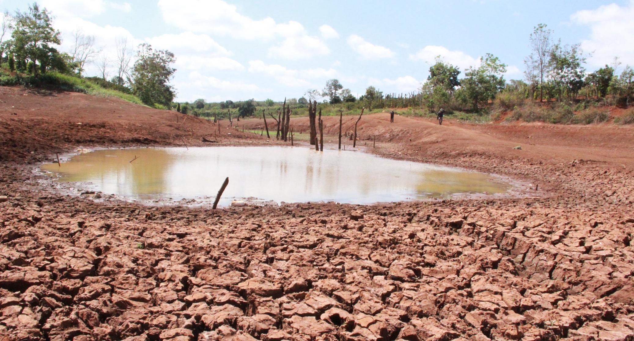 han han o tay nguyen anh 7