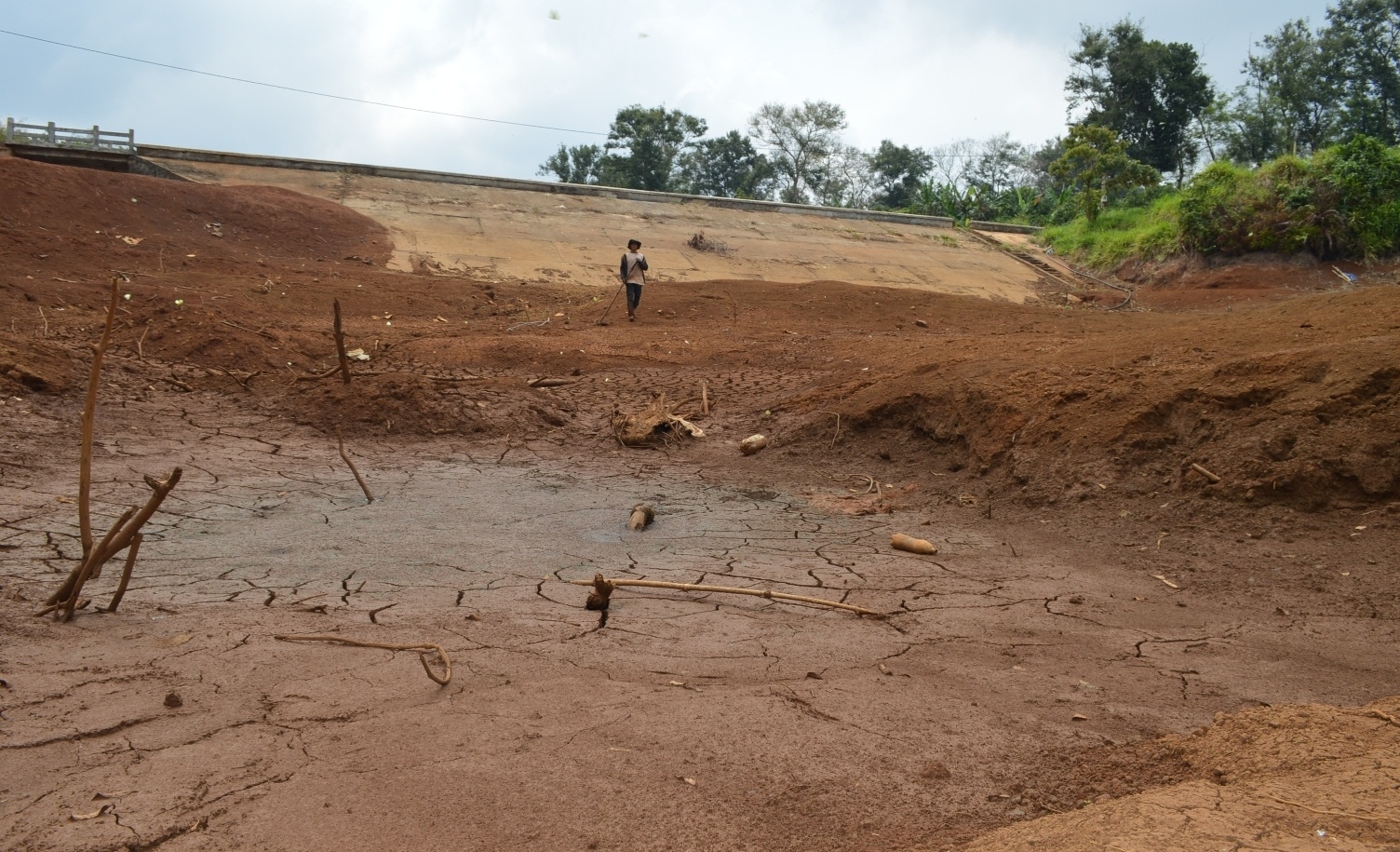 han han o tay nguyen anh 2