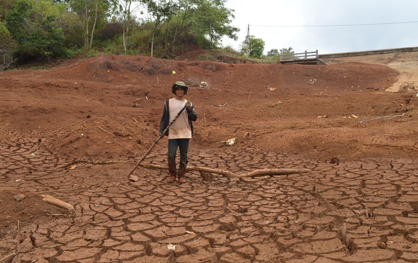 han han o tay nguyen anh 3