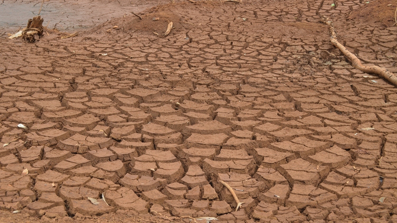 han han o tay nguyen anh 6