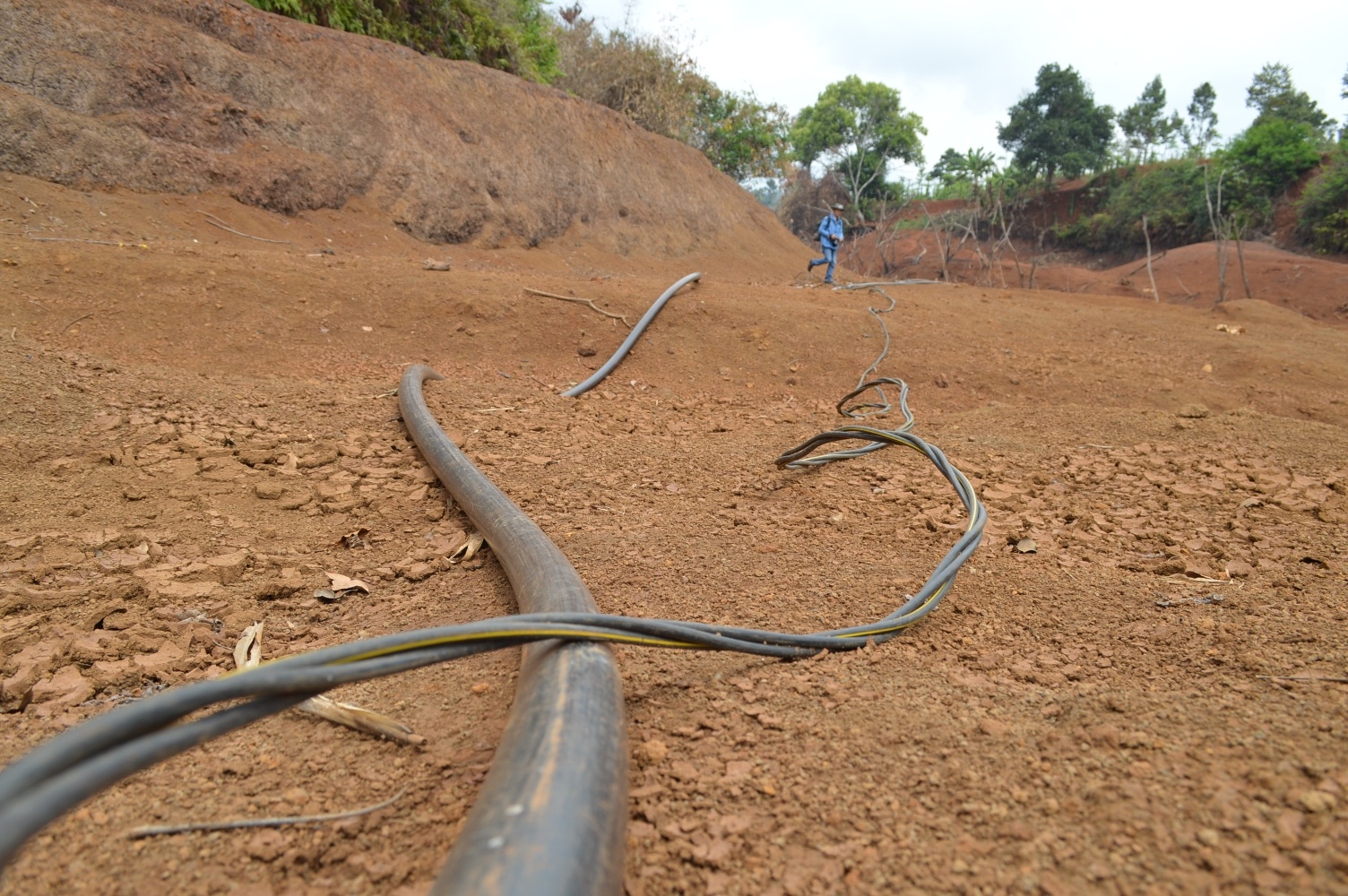 han han o tay nguyen anh 4