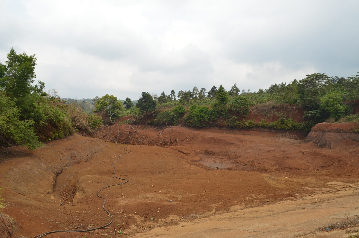 han han o tay nguyen anh 1