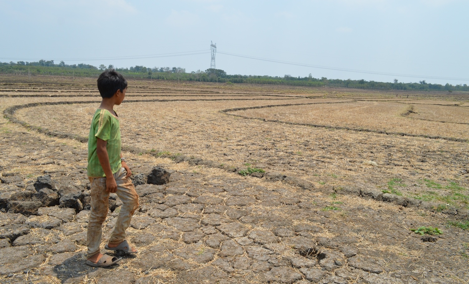 Dak Lak thiet hai 9.000 ty dong do han han hinh anh