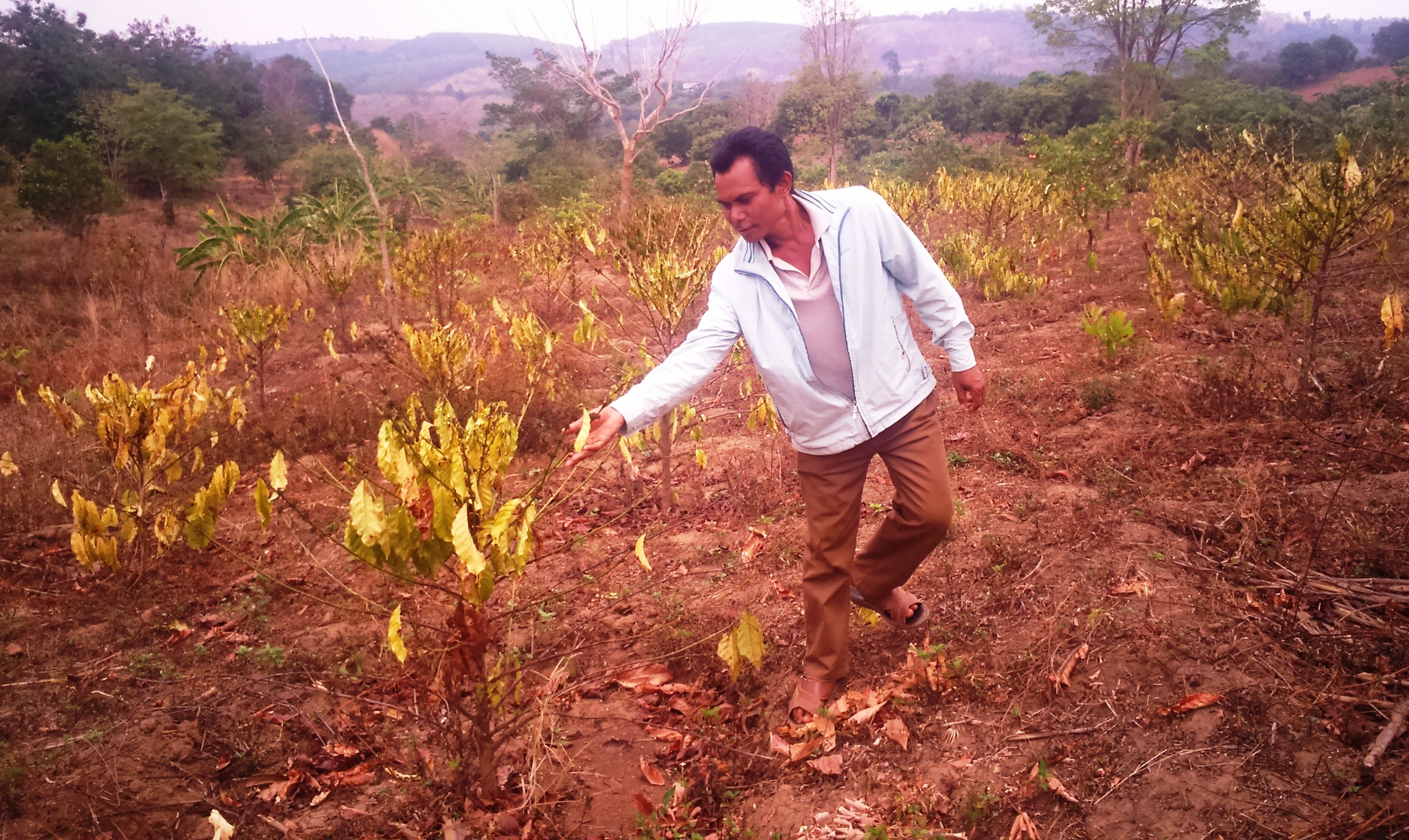 Dan doi vi han han anh 2