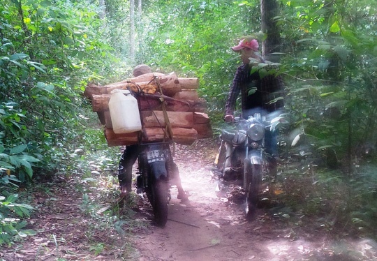 Bi kiem lam truy bat, mot nguoi trung dan tu vong hinh anh
