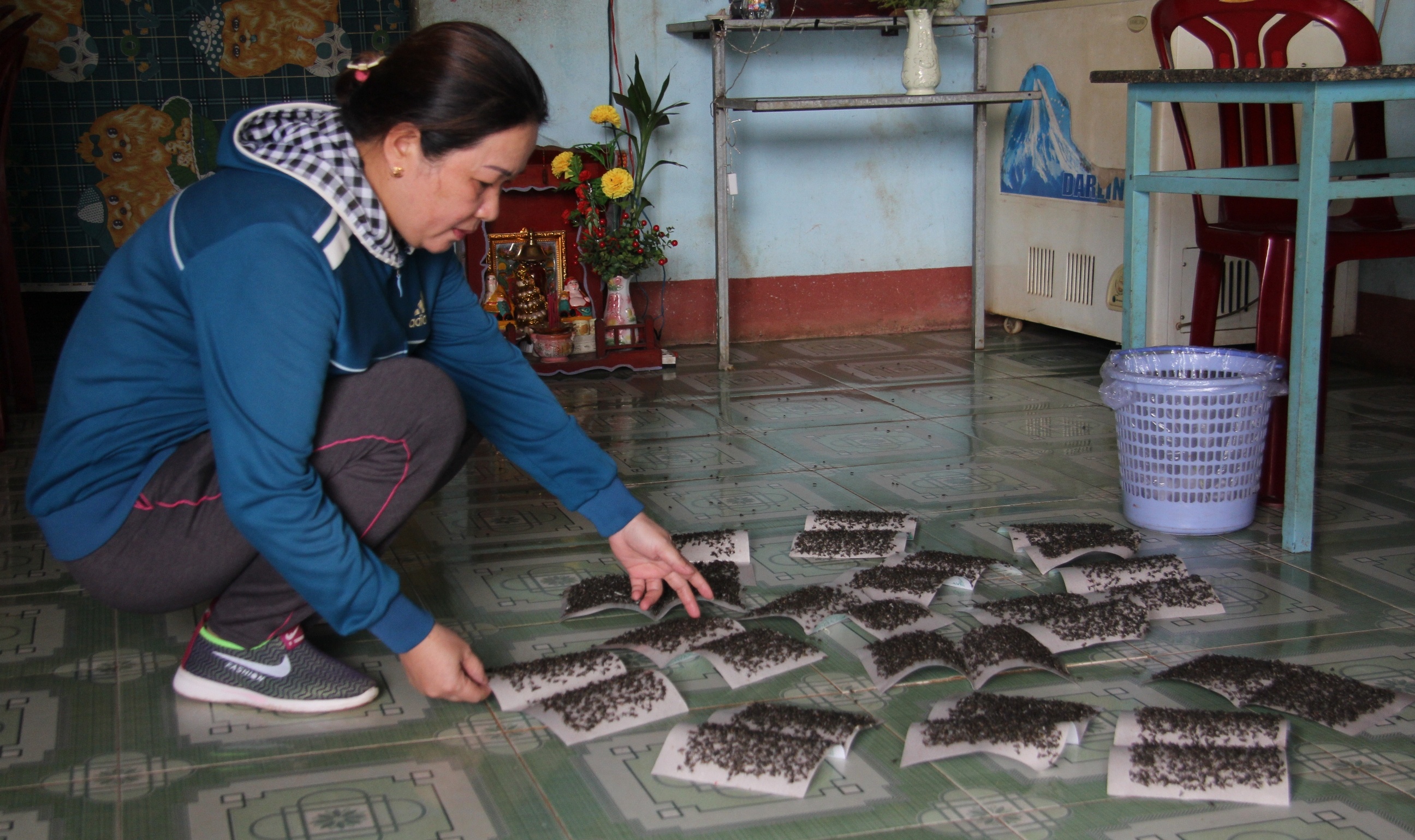 Dan kho vi ruoi anh 2