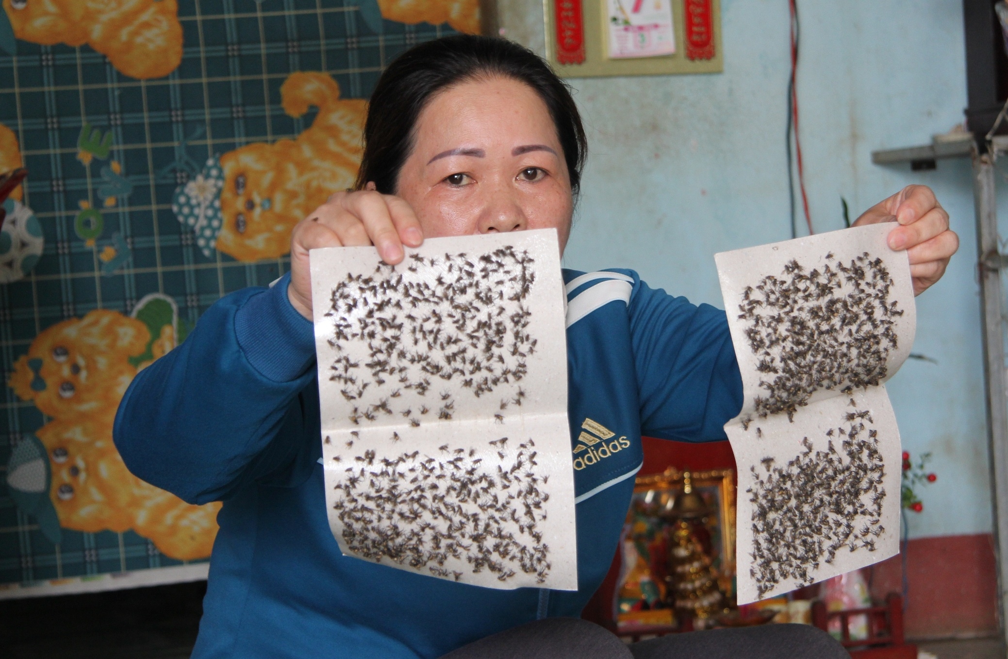 Dan kho vi ruoi anh 1