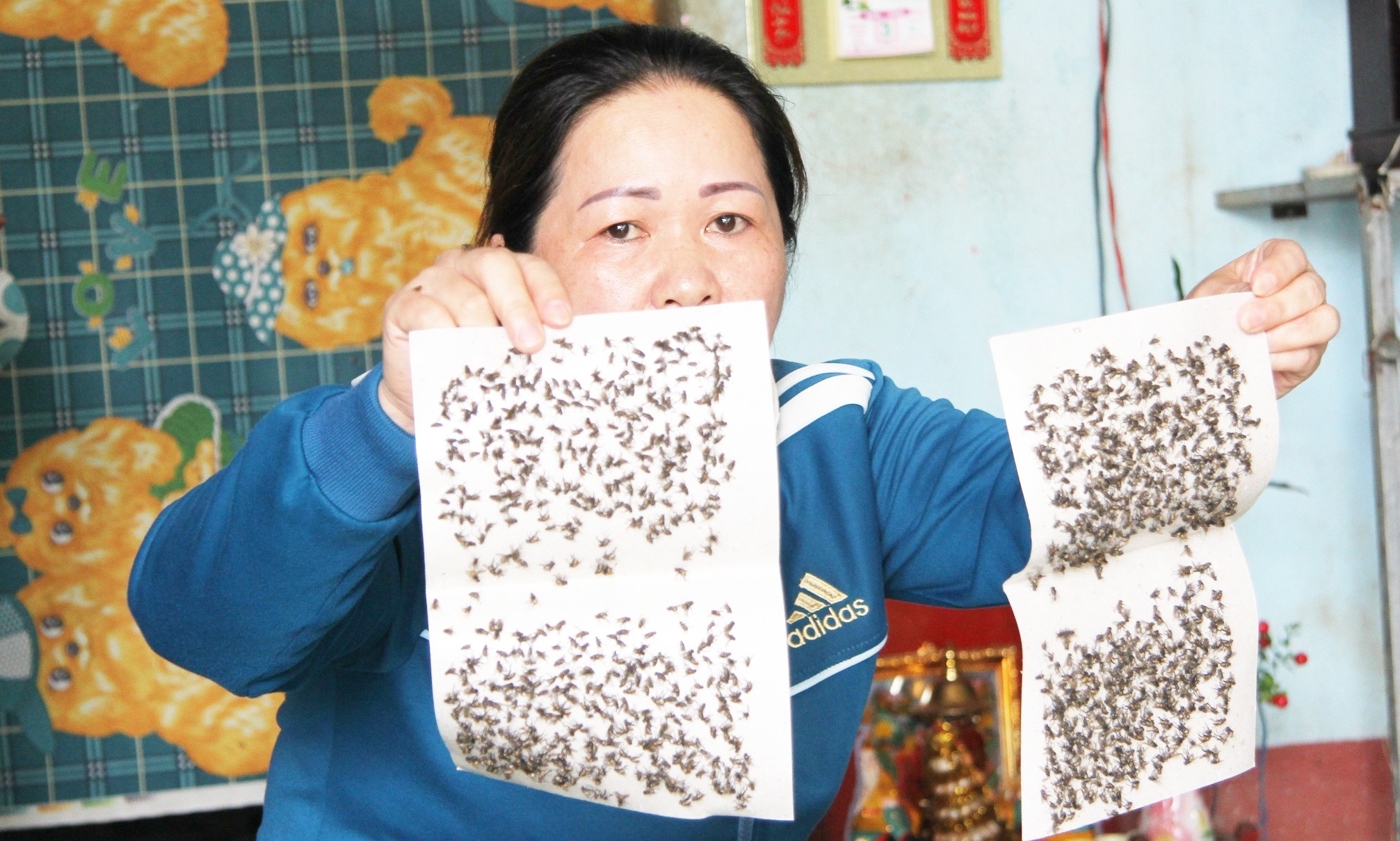 Hang nghin con ruoi tan cong, 300 ho dan khon kho hinh anh