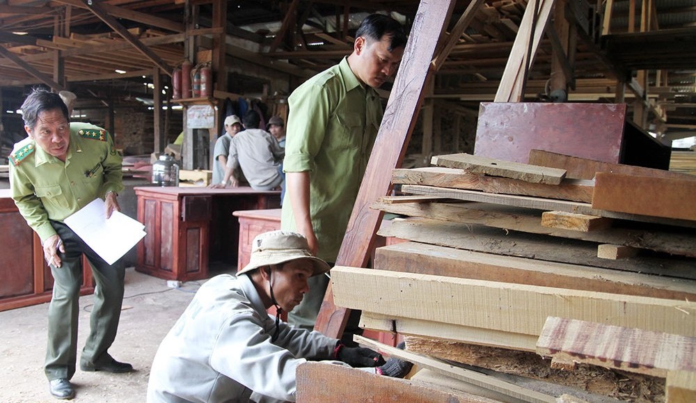 Kiem tra tat ca co so san xuat go o Lam Dong hinh anh