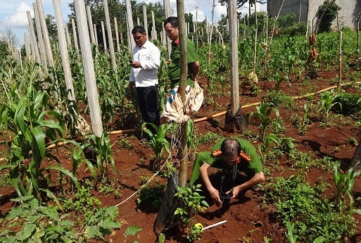 Trom tieu long hanh o Tay Nguyen hinh anh