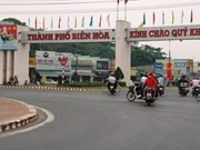 Tam dinh chi cong tac Truong ban To chuc Thanh uy Bien Hoa hinh anh