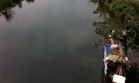 Quan ly thi truong bi danh chet anh 1