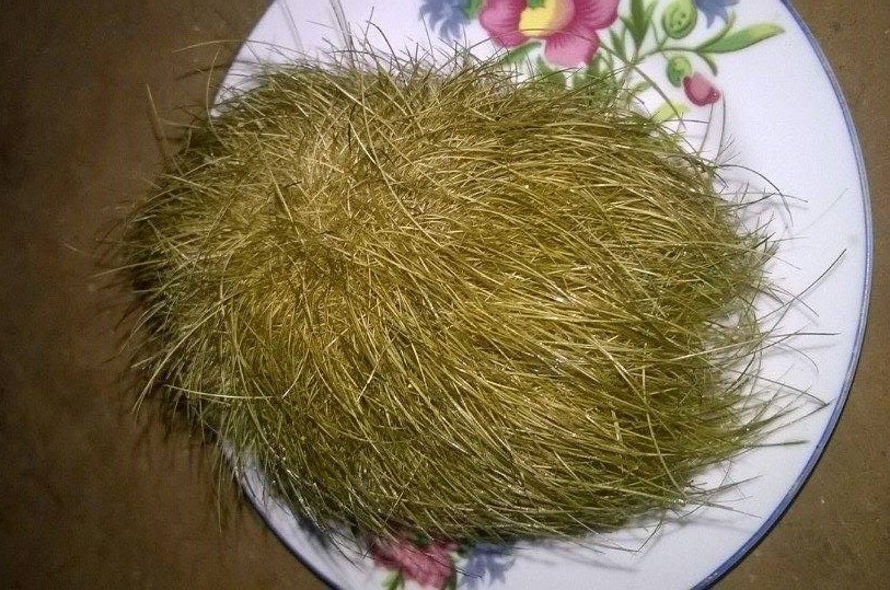 Mo heo phat hien vat the co mui thom nhu thuoc Bac hinh anh