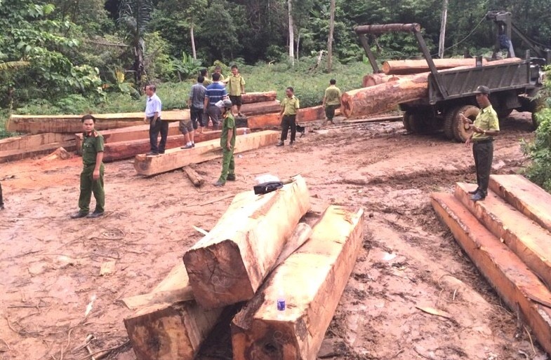 Bat qua tang 4 nguoi trong bai go lau o cua rung hinh anh