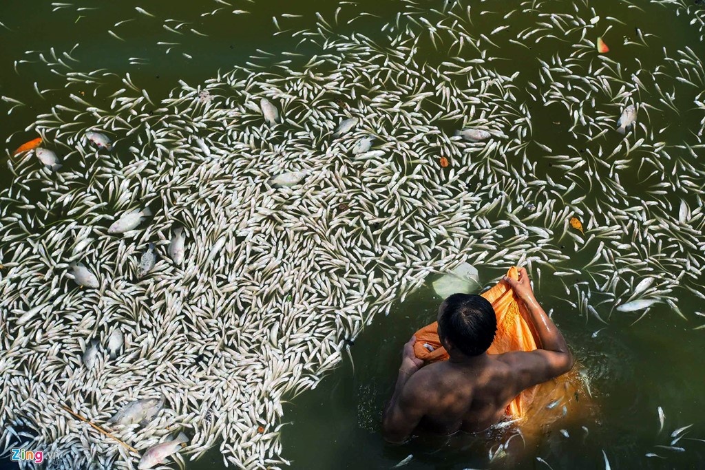 Thu tuong yeu cau dieu tra nguyen nhan ca ho Tay chet hinh anh