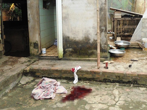 Vo tu vong vi bi chong danh bang gay go hinh anh