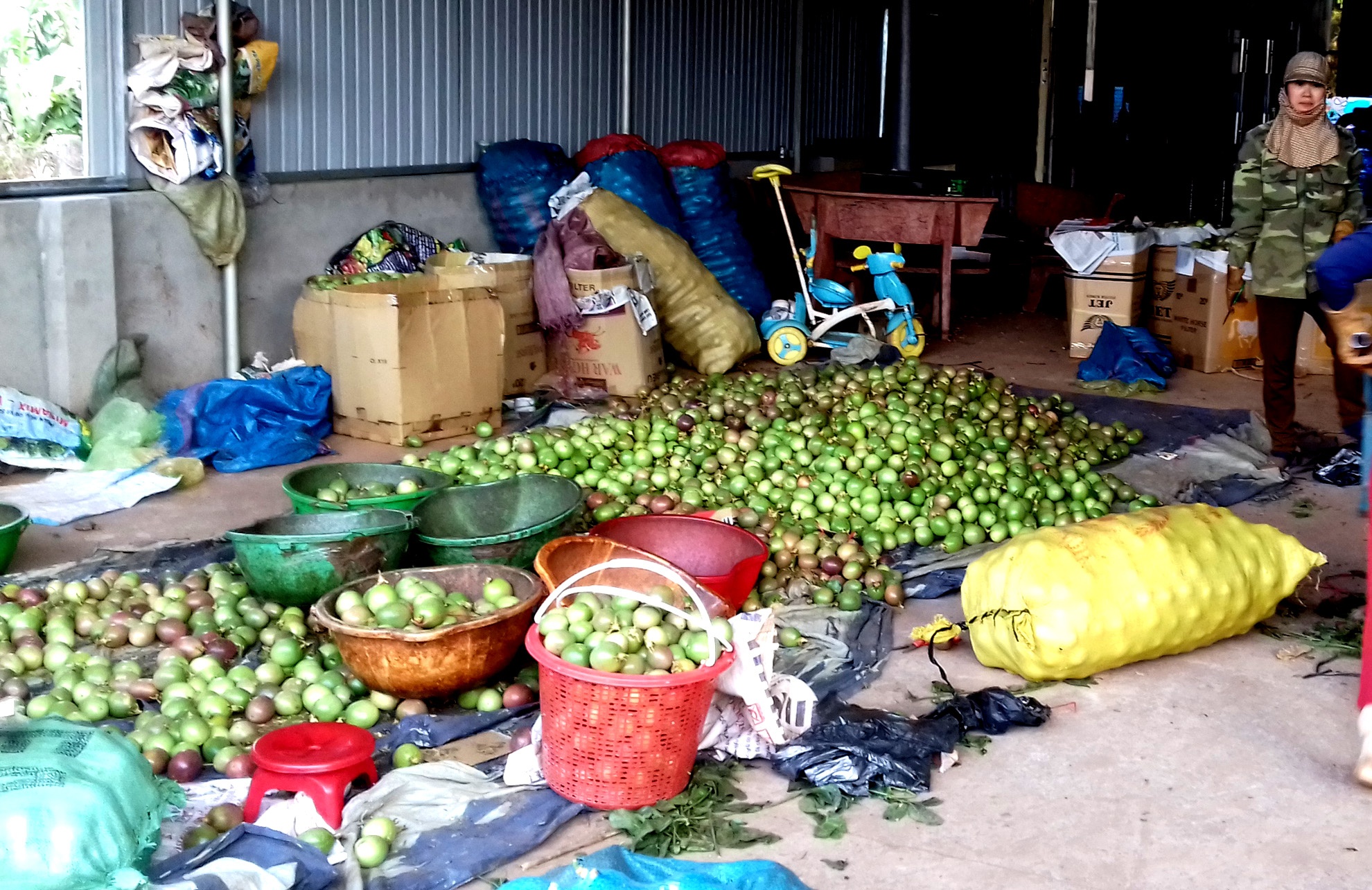 Chanh dây mất giá ảnh 2 Chanh day mat gia anh 2