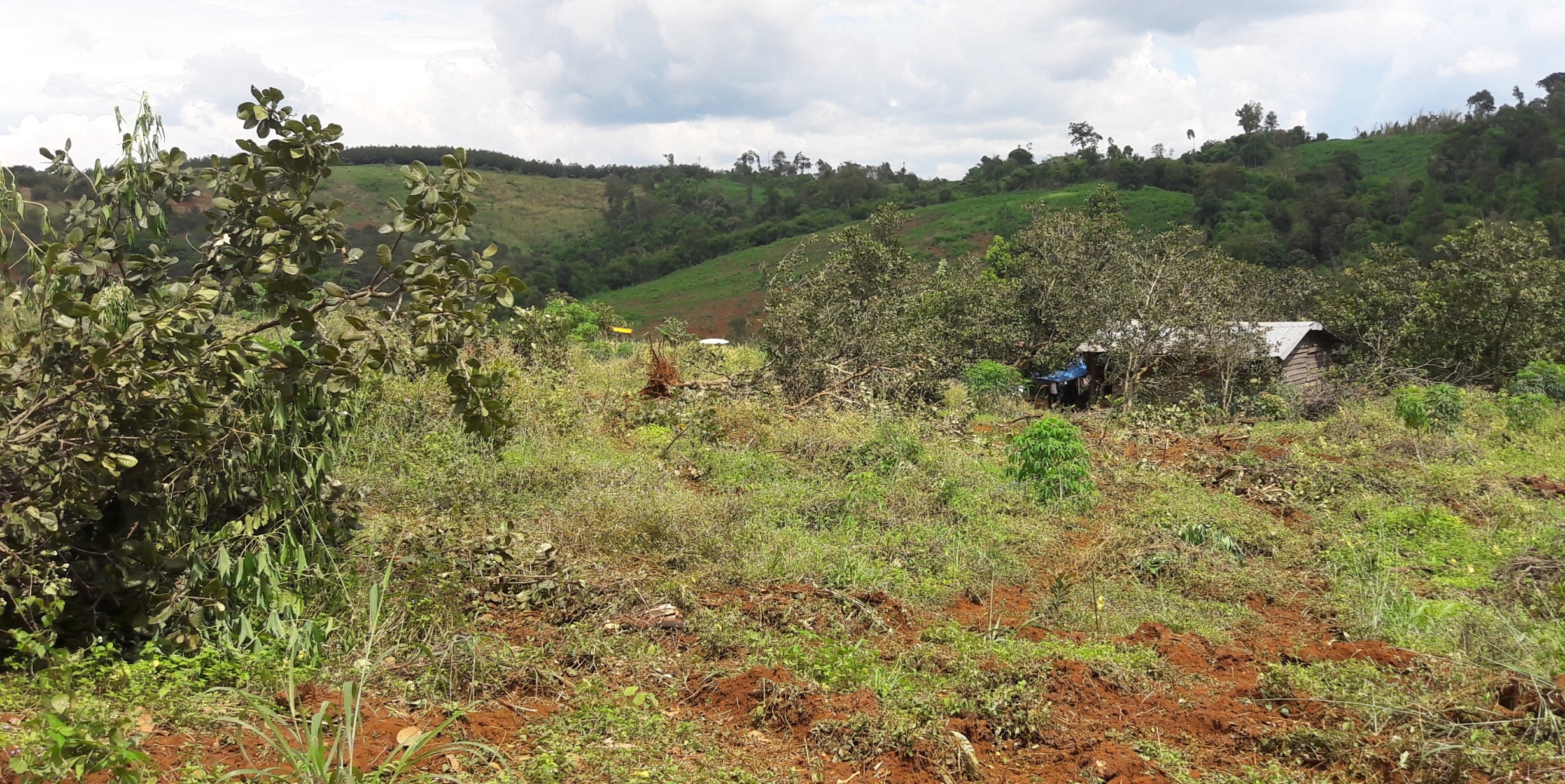 Tranh chap dat o Dak Nong anh 1