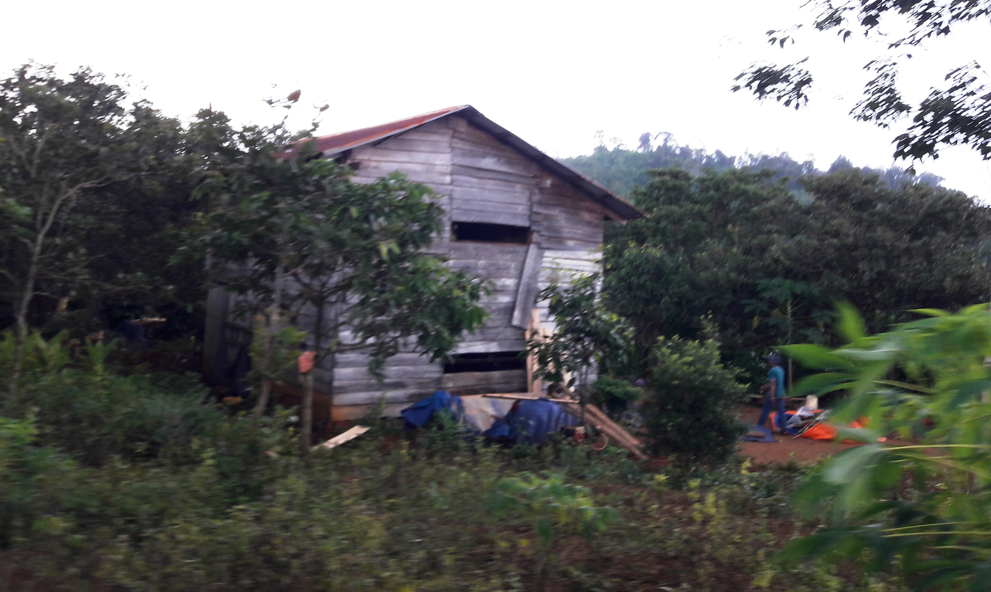 Tranh chap dat rung o Dak Nong keo dai nhieu nam hinh anh