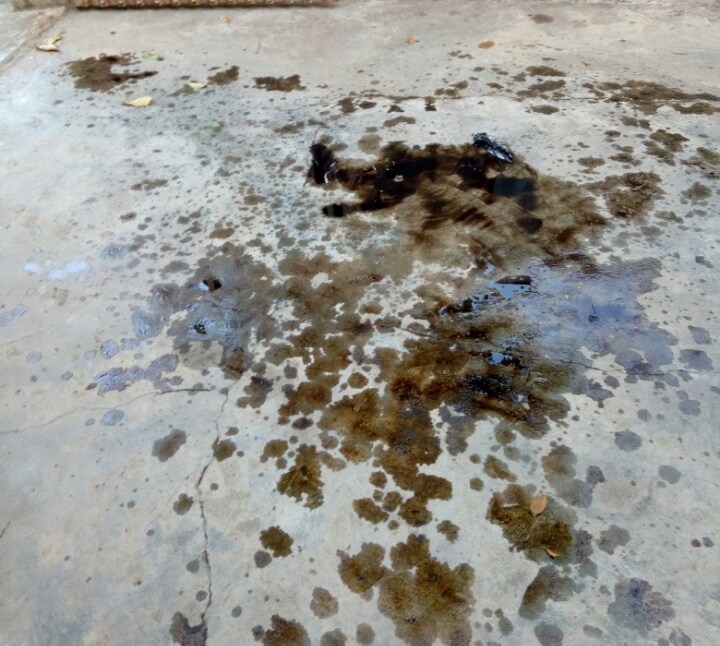 Kiểm lâm bị ném nhớt hăm dọa ảnh 2 Kiem lam bi nem nhot ham doa anh 2