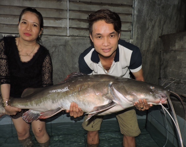 Bat duoc ca lang gan 30 kg tren song Serepok hinh anh