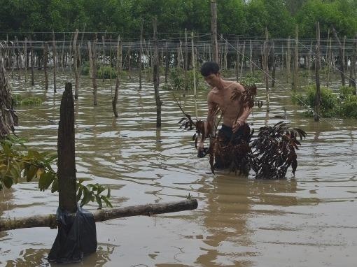 Ho thuy loi tich nuoc gay ngap nha, dan phai len chua o nho hinh anh